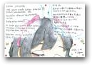 遠藤　麻央(一般)  » Click to zoom ->
