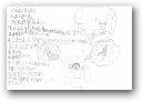 澤邉　詩織(9才)  &raquo; Click to zoom ->