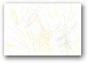 前原　梨響(1才)  &raquo; Click to zoom ->