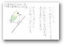 田村　陽冬(12才)  &raquo; Click to zoom ->